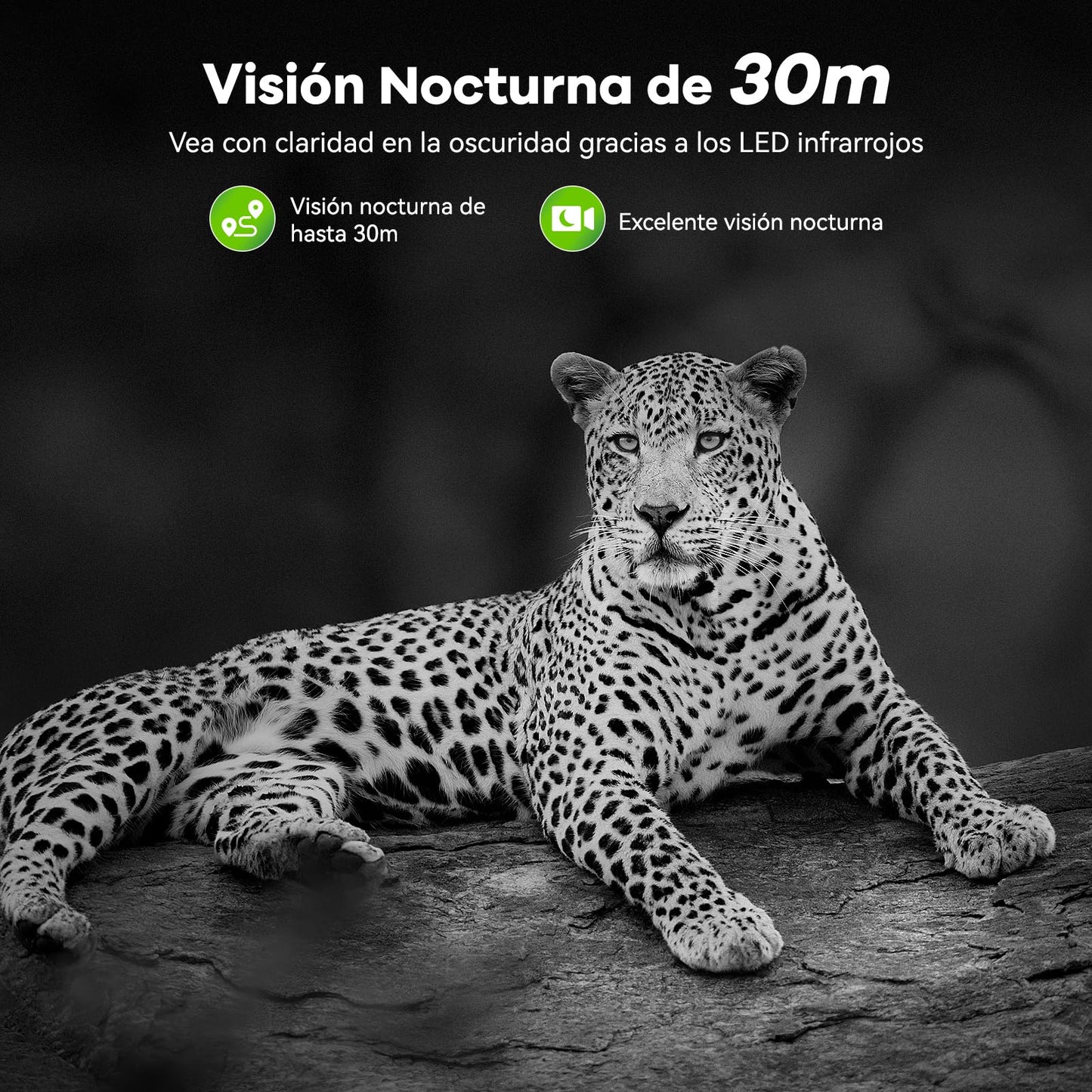 Cámara de Caza WiFi DEATTI 4K