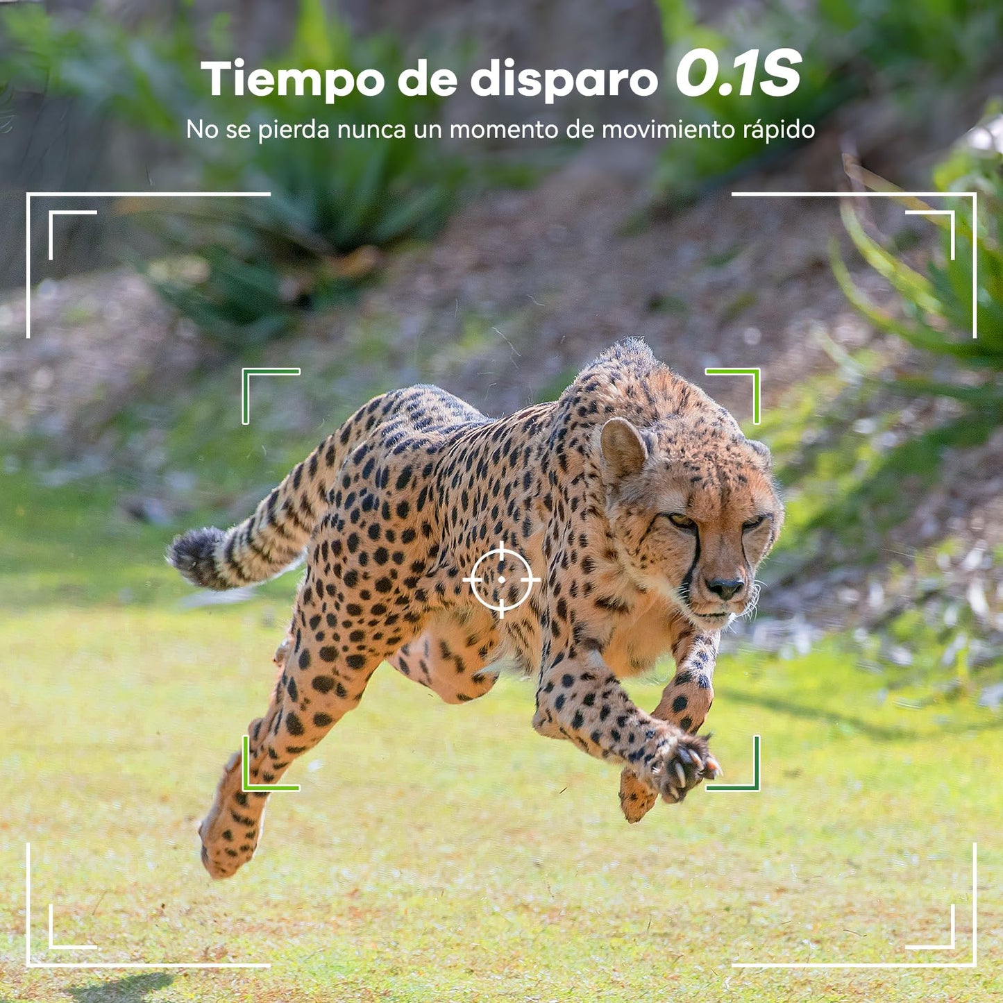Cámara de Caza WiFi DEATTI 4K