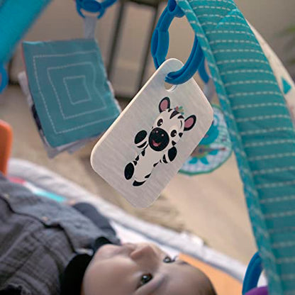 Baby Einstein - Gimnasio de Actividades Musical 4 en 1