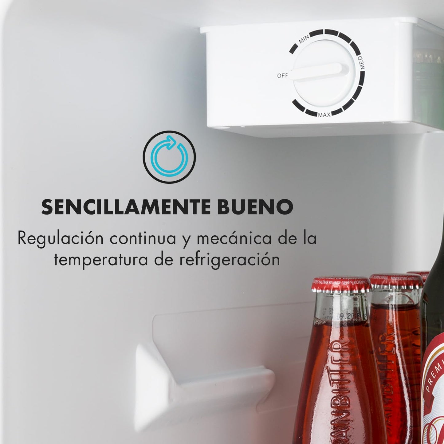 Mini Nevera Eléctrica Silenciosa 65L