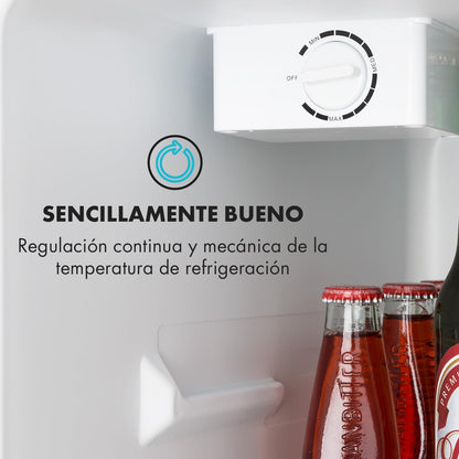Mini Nevera Eléctrica Silenciosa 65L