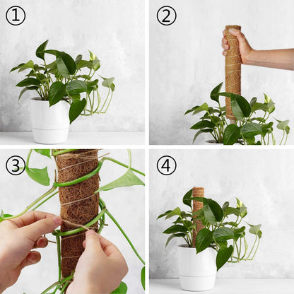 4 Piezas Bastón Tótem de Coco de 30CM