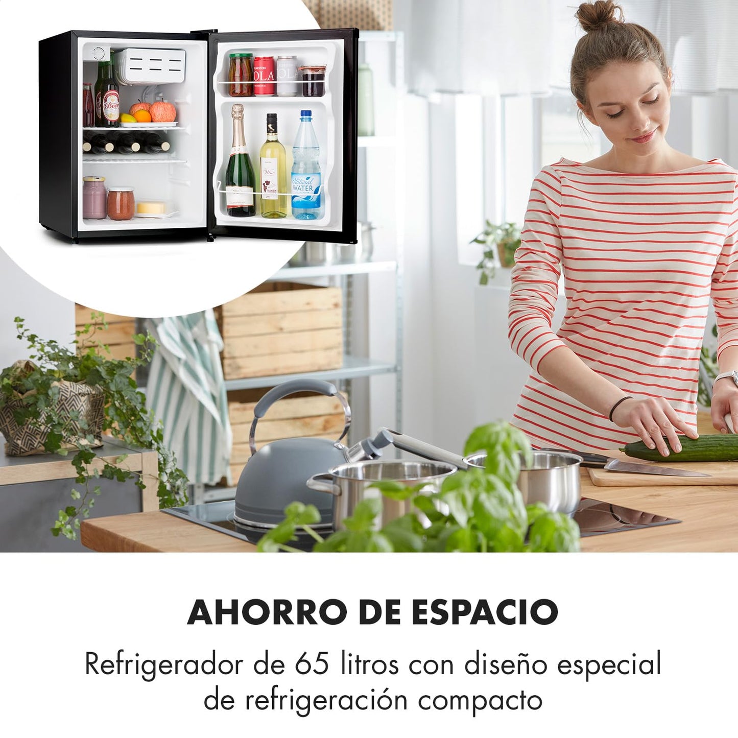 Mini Nevera Eléctrica Silenciosa 65L