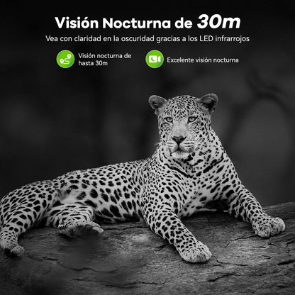 Cámara de Caza WiFi DEATTI 4K