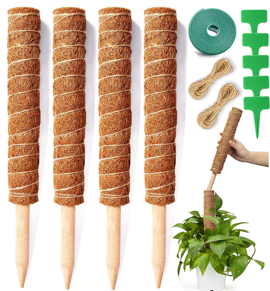4 Piezas Bastón Tótem de Coco de 30CM
